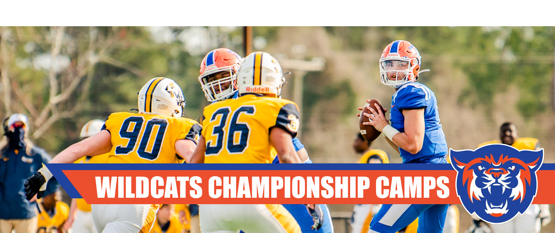 Wildcats Championship Camps at Louisiana College